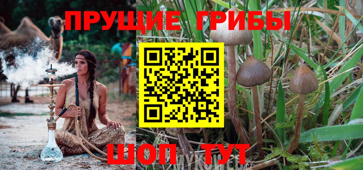 Псилоцибиновые грибы ЛСД  Вход с VPN  Боровичи  Галлюциногенные грибы GOLDEN TEACHER 