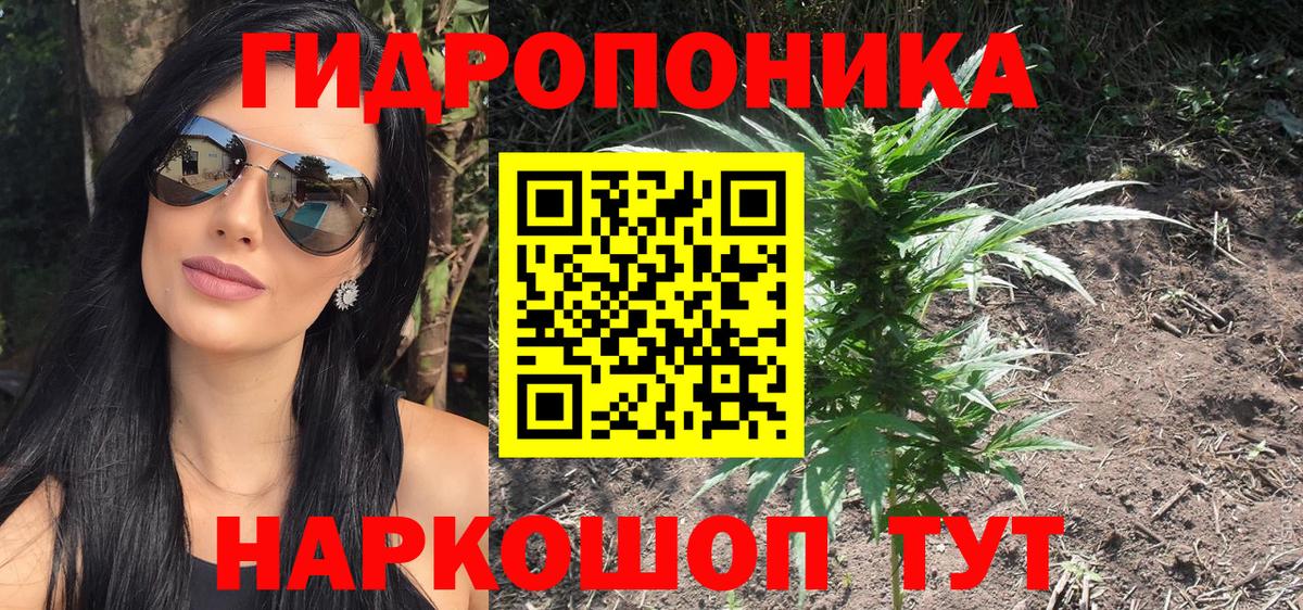 Бошки Шишки планчик  Канабис марихуана  Бошки марихуана Amnesia  Боровичи  Вход с VPN  Шишки марихуана MAZAR 